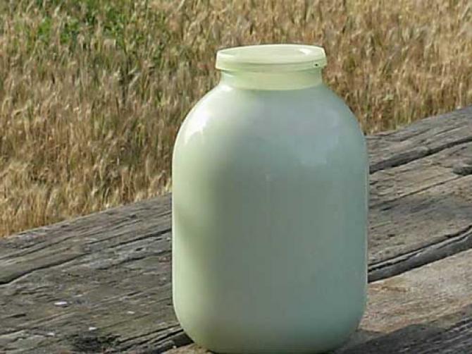 В Таласе снизилось производство молока из-за сокращения поголовья коров — Tazabek
